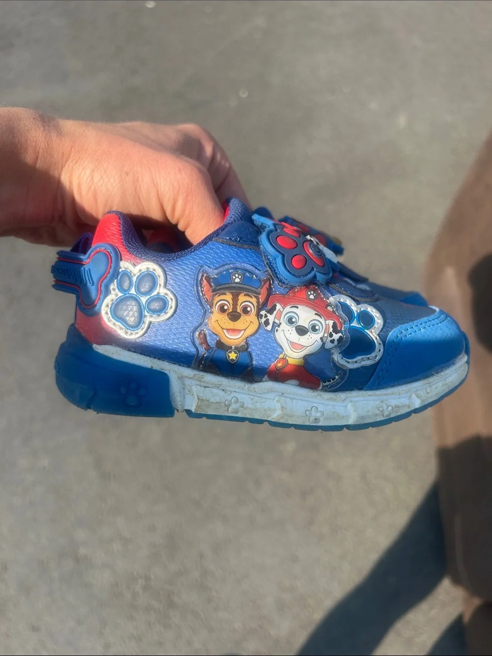 Paw Patrol bright blue